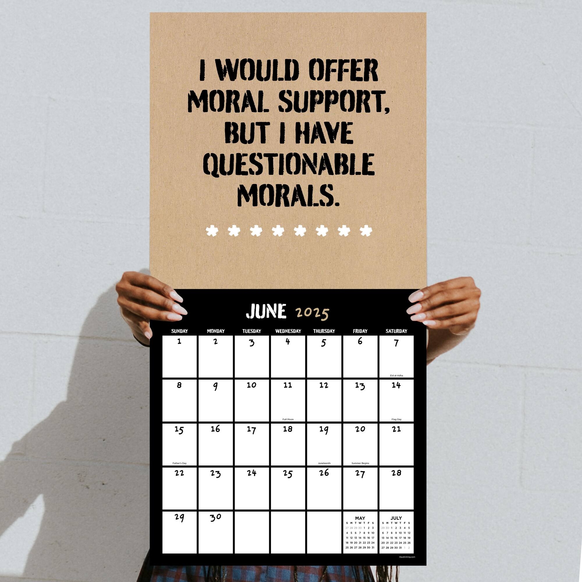 TF Publishing 2025 Anti-Affirmations Wall Calendar